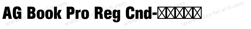AG Book Pro Reg Cnd字体转换